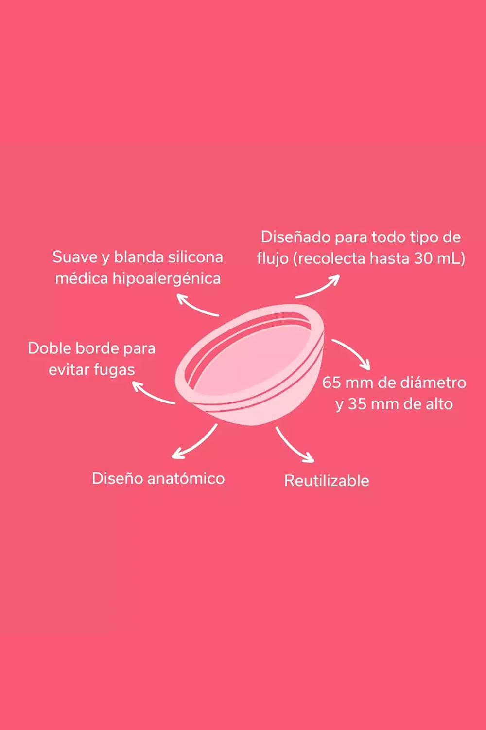 BENTLEY | Disco Menstrual para Sexo Penetrativo