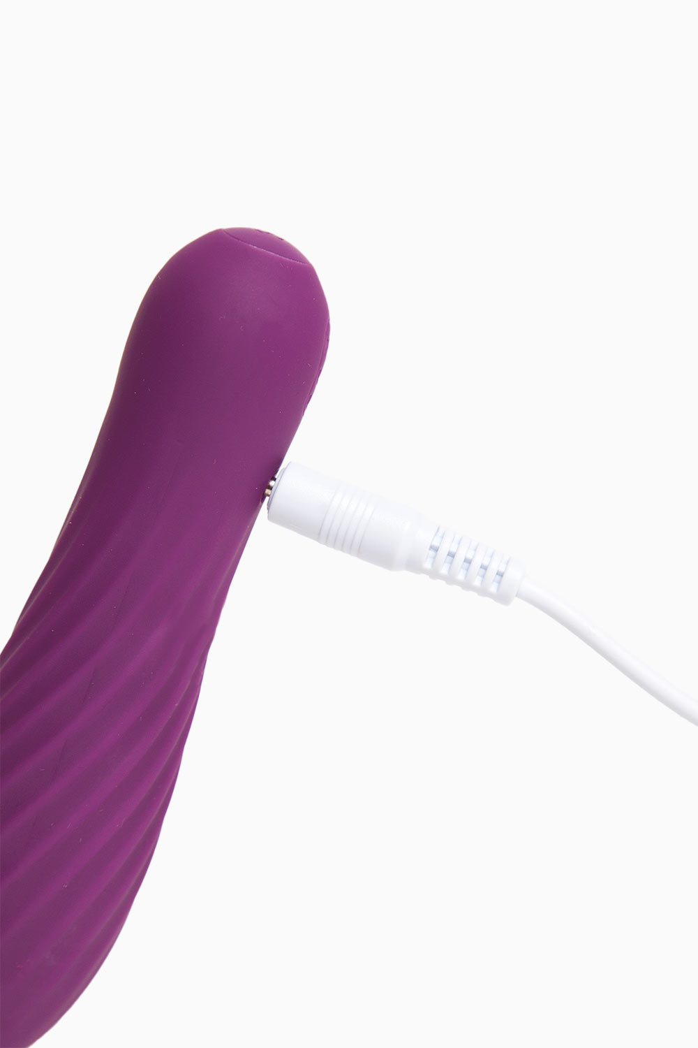 TULIP | Balita Vibradora