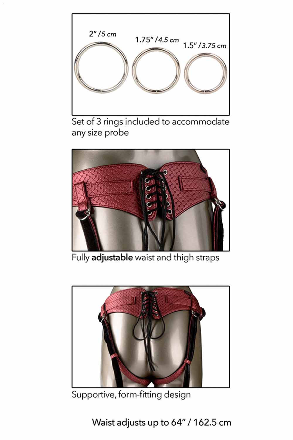 REGAL QUEEN | Arnés Ajustable para Strap-On